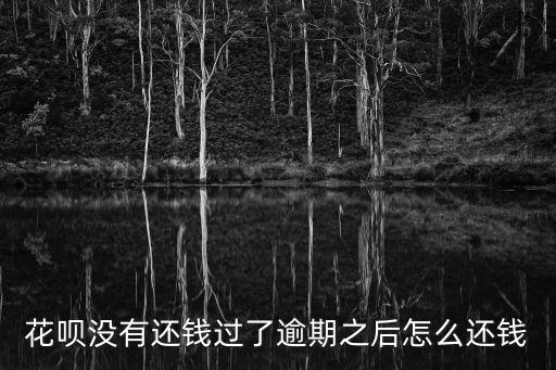 逾期后怎么還款嗎，如果逾期了幾個(gè)月怎么還款呢