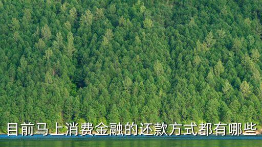 目前馬上消費(fèi)金融的還款方式都有哪些
