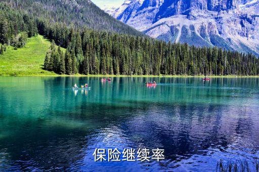 保險公司續(xù)保率怎么算，保險繼續(xù)率