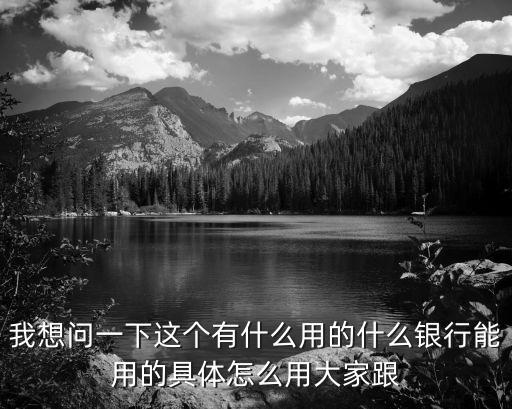 我想問一下這個有什么用的什么銀行能用的具體怎么用大家跟
