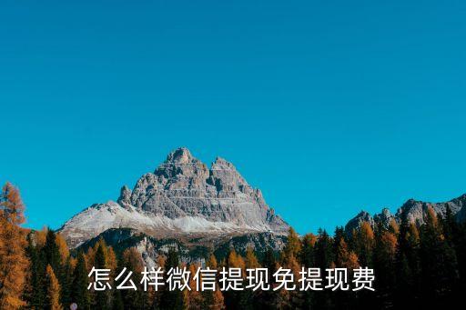 怎么樣微信提現(xiàn)免提現(xiàn)費(fèi)