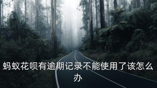淘寶花唄過期怎么辦，我是淘寶賣家 我開通了花唄支付功能 到期昨天被關(guān)閉了 請(qǐng)問我還可以
