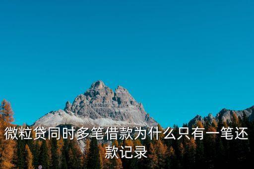 微粒貸同時多筆借款為什么只有一筆還款記錄