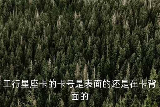 工行星座卡的卡號是表面的還是在卡背面的
