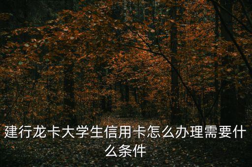 建行校園龍卡怎么申請(qǐng)，如何申請(qǐng)建行大學(xué)生龍卡