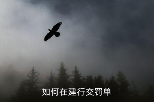 如何在建行交罰單