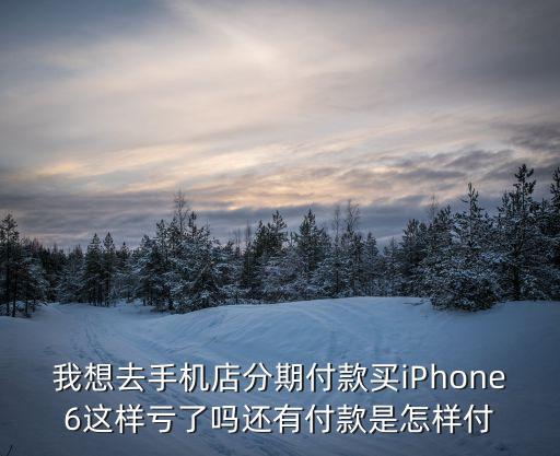我想去手機(jī)店分期付款買iPhone6這樣虧了嗎還有付款是怎樣付