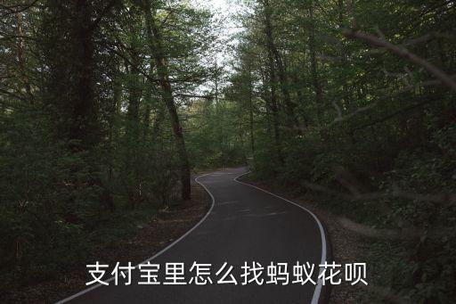 螞蟻花唄在哪怎么樣，螞蟻花唄怎么樣