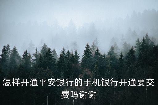 怎么注冊(cè)平安口袋銀行卡，申請(qǐng)平安銀行卡