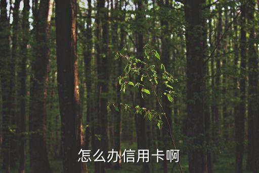 怎么辦信用卡啊