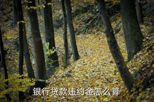 銀行貸款違約金怎么算