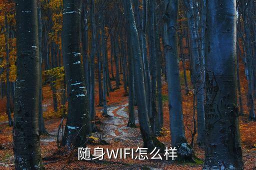 途牛隨身wifi怎么樣，隨身WIFI怎么樣