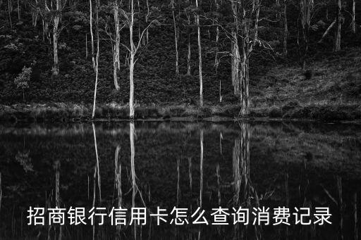 招商銀行信用卡怎么查詢消費(fèi)記錄