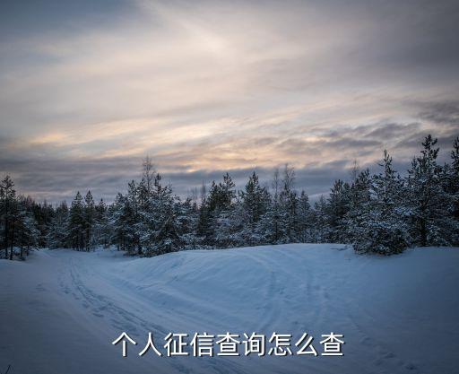 個(gè)人怎么打征信報(bào)告，個(gè)人的征信數(shù)據(jù)如何查詢