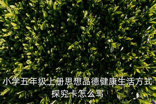探究卡怎么做，我又做一個(gè)探究課題14歲的生日禮物我要做賀卡但應(yīng)該在上