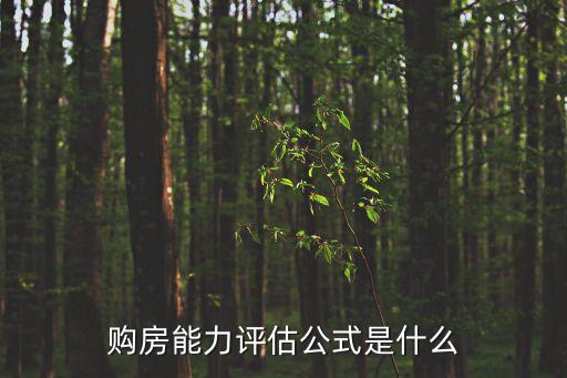 購房能力評(píng)估公式是什么
