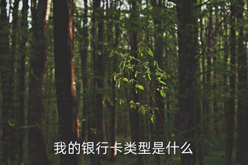 銀行賬戶類型怎么看，銀行的存款賬戶是如何進行分類的各有什么特點適用范圍是什么