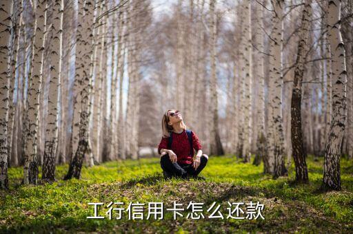 信譽(yù)卡還款怎么還，信用卡還款怎么搞啊