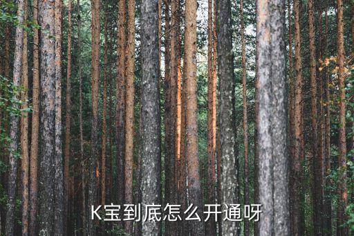 K寶到底怎么開(kāi)通呀