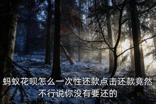 螞蟻花唄怎么一次性還款點(diǎn)擊還款竟然不行說你沒有要還的
