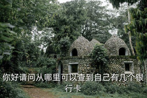 建行怎么查有幾張卡，我 想查一下我在建行開了幾張卡怎么查