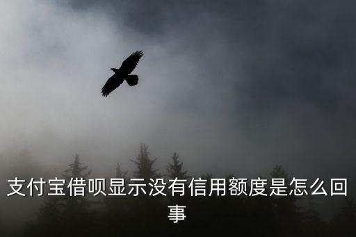 螞蟻借唄沒有信用額度怎么回事，支付寶借唄顯示沒有信用額度是怎么回事