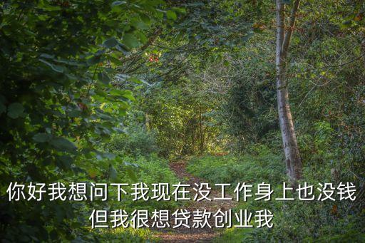 你好我想問下我現(xiàn)在沒工作身上也沒錢但我很想貸款創(chuàng)業(yè)我