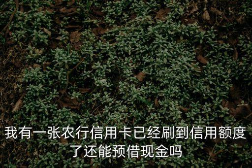 農(nóng)行怎么預借現(xiàn)金，農(nóng)行卡怎么才可以預支款