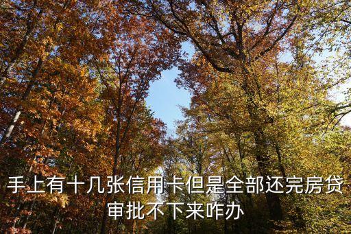 手上有十幾張信用卡但是全部還完房貸審批不下來咋辦