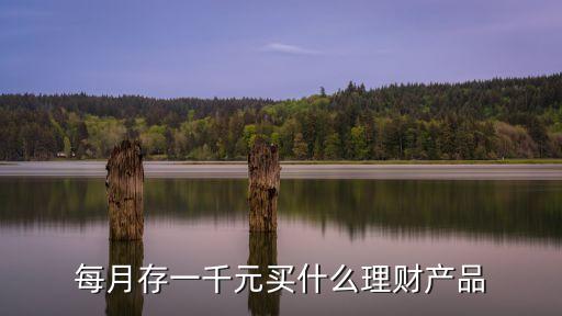 每個月存一千 怎么理財，每月有閑錢一千怎么理財更合理