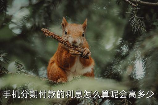 分期買手機3個月有利息怎么算的，手機分期付 利息是怎么算的