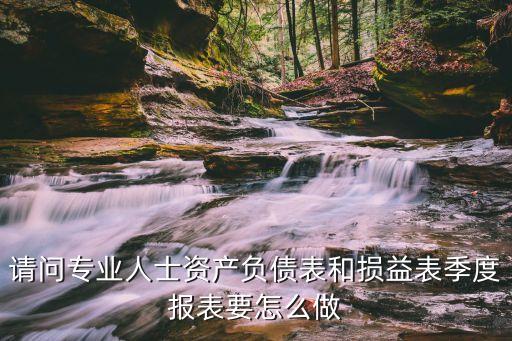 基金季報怎么寫，0申報的資產(chǎn)負債表季報和年報怎么填