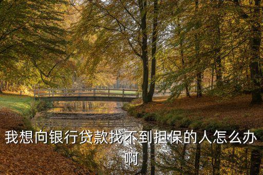 我想向銀行貸款找不到擔(dān)保的人怎么辦啊