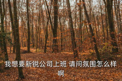 我想要新銳公司上班 請(qǐng)問(wèn)氛圍怎么樣啊