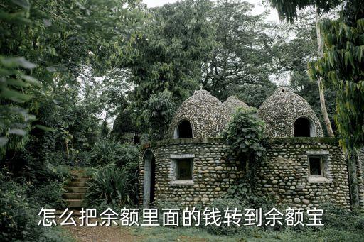 怎么把余額里面的錢(qián)轉(zhuǎn)到余額寶
