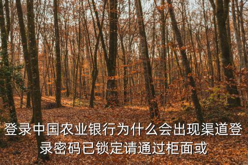 登錄中國農業(yè)銀行為什么會出現渠道登錄密碼已鎖定請通過柜面或