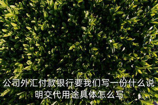 公司外匯付款銀行要我們寫一份什么說明交代用途具體怎么寫