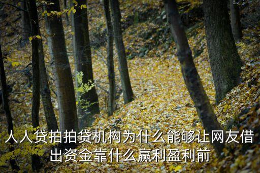 人人貸拍拍貸機構為什么能夠讓網(wǎng)友借出資金靠什么贏利盈利前