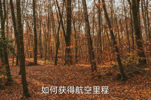 怎么得到航空里程，如何獲得航空里程