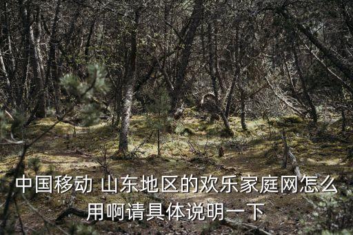 家庭網(wǎng)主卡怎么使用方法，你好家庭網(wǎng)我辦理了家庭流量我是主卡我自己的流量用完后就直