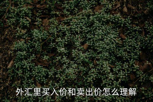 外匯里買入價和賣出價怎么理解
