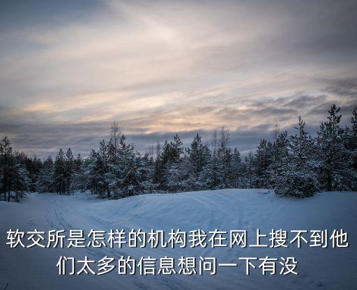 軟交所是怎樣的機(jī)構(gòu)我在網(wǎng)上搜不到他們太多的信息想問(wèn)一下有沒(méi)