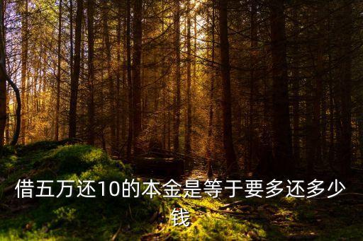 借五萬還10的本金是等于要多還多少錢