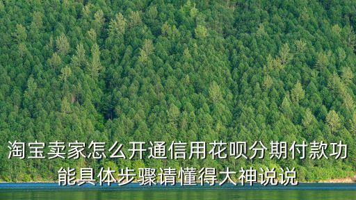 淘寶賣家怎么開通信用花唄分期付款功能具體步驟請懂得大神說說