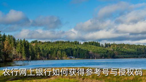 農(nóng)行網(wǎng)上銀行如何獲得參考號與授權(quán)碼