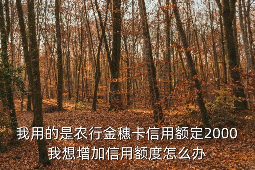 農(nóng)行下卡2000怎么提額，我用的是農(nóng)行金穗卡信用額定2000我想增加信用額度怎么辦