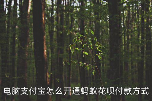 螞蟻花唄電腦怎么開通嗎，支付寶電腦版登陸螞蟻花唄怎么開通