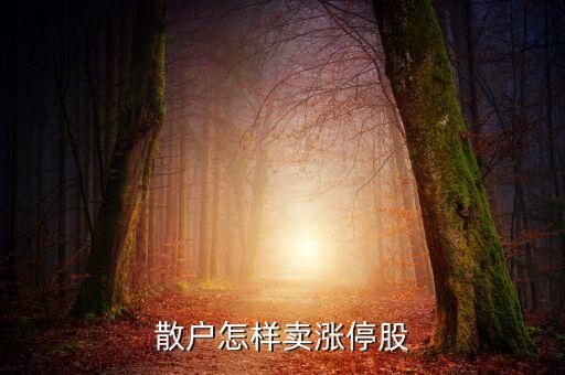 漲停之后怎么賣出，漲停股票如何賣出