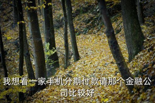 哪家貸款怎么樣，石家莊的信貸哪最合適急解解