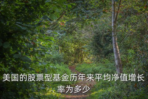 美國的股票型基金歷年來平均凈值增長率為多少